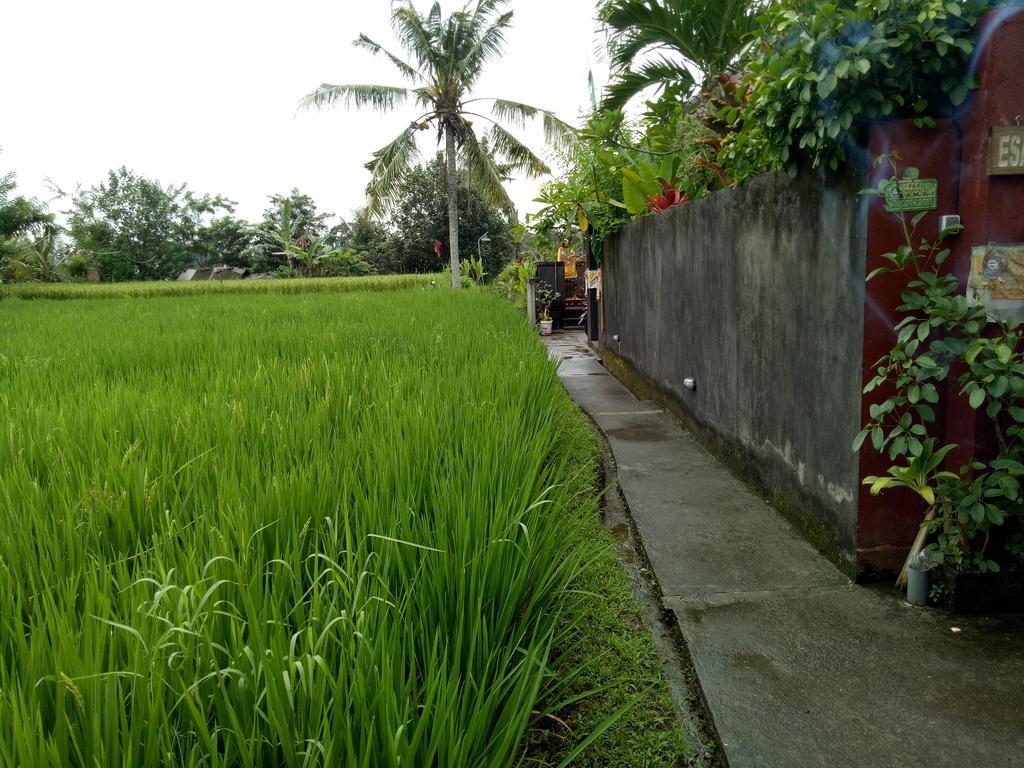 Villa Esa Ubud Luaran gambar